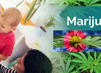 More than 80% of parents reported significant or moderate improvements in their child’s ASD symptoms following medical cannabis treatment