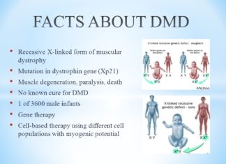 Duchenne muscular dystrophy (DMD) : Muscle stem cells can drive cancer