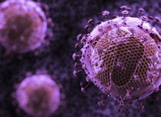 Researchers can now quickly and accurately count a hidden, inactive form of the human immunodeficiency virus (HIV)