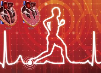Hypertrophic cardiomyopathy (HCM) : researchers has pinpointed a faulty molecular brake