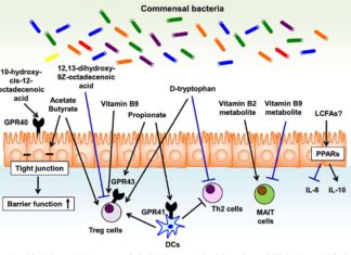 Metabolites enhance the immune response