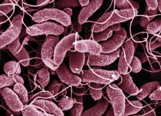 Yemen : Mystery of two outbreaks of cholera solved