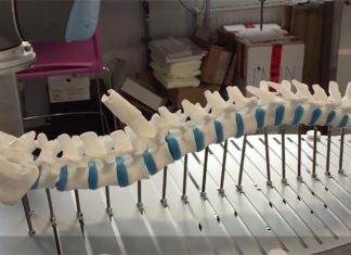 Researchers have created a new system which allows two robotic arms to semi-autonomously drill holes into individual vertebrae