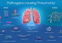 New weapon against bacterial pneumonia