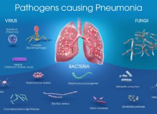 New weapon against bacterial pneumonia