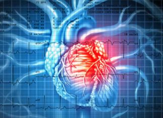 Researchers has identified a genetic pathway that causes arrhythmia after experiencing a heart attack