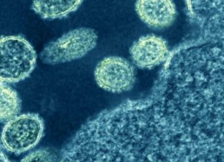 Researchers have designed new anti-influenza drugs which could help combat any potential new pandemic