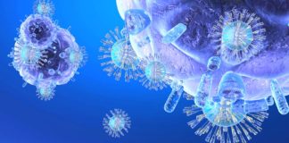 Researchers have stimulated the immune system to eat cancer