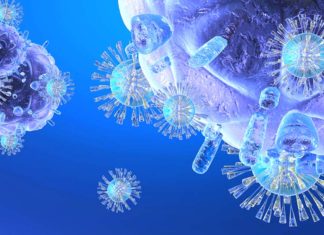 Researchers have stimulated the immune system to eat cancer
