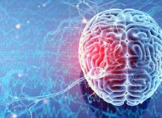 Stress and REM sleep are linked to brain cell death and survival