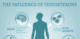 Guidelines For Maintaining Testosterone Levels