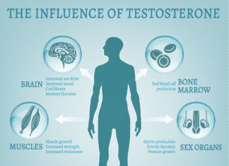 Guidelines For Maintaining Testosterone Levels