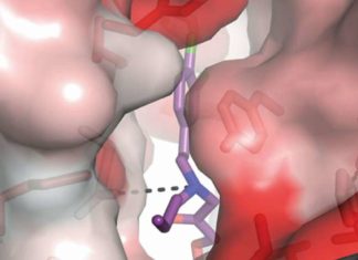 The ideal drug is one that only affects the target disease to treat