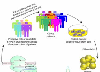 Using genetics of human fat cells to predict response to thiazolidinediones drugs