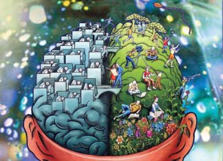 Researchers explore how the brain allows us to make choices