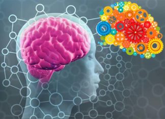 When we remember a past event, the human brain reconstructs that experience in reverse order