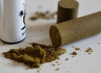 Study points to increased risk of Cannabis resin and herbal cannabis that have significantly increased in potency and in price