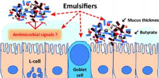Food additives known as dietary emulsifiers may adversely affect anxiety-related and social behaviors