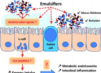 Food additives known as dietary emulsifiers may adversely affect anxiety-related and social behaviors