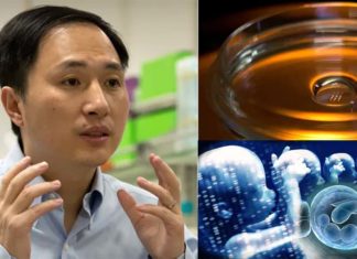 Chinese scientist He Jiankui created the world’s first genetically-modified babies