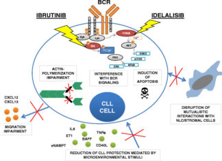 New leukemia drug significantly more effective