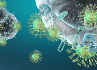 Scientists explaining how fever help to power up our immune cells