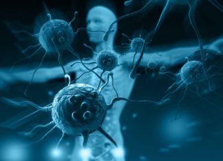 Learn from healthy functioning immune system promote excellent behaviour traits
