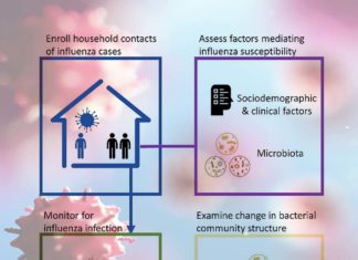 Specific respiratory microbiome communities may be linked to influenza susceptibility