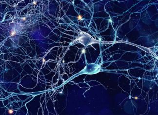 Researchers have developed a novel technique capable of tracing intricate neural connections