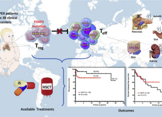 IPEX : Researchers correct the genetic mutation