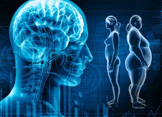 Found link between Excessive body fat and smaller brain size