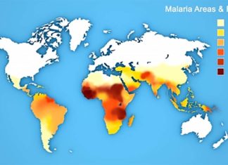 Malaria is still the greatest obstacle for the world health