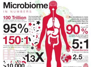 Research shows that microbes in the human gut play an important role in protecting against arsenic toxicity