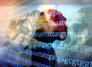 AI analyzing the genome identifies an unknown human ancestor