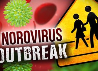 Norovirus family : Scientists find a new way to target it