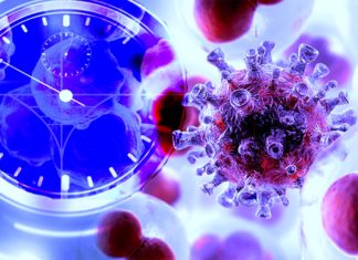 A new drug shows potential to halt cancer cells’ growth by stunting the cells’ biological clock