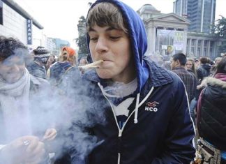 Cannabis change teen brain volume