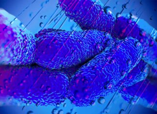 The spray from showers, sinks and toilets can expose us to the bacteria and risk of infection