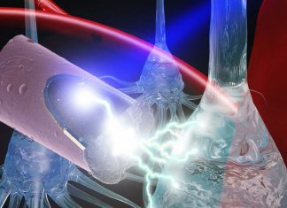Neural stimulation has beneficial therapeutic effects in neurological disorders