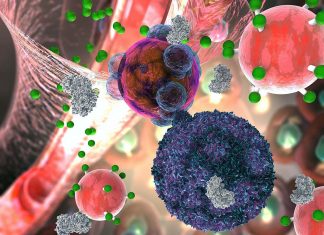 A new screening method could catch transplanted organ rejection much earlier