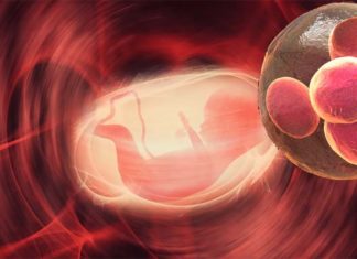 Children born after assisted reproductive technology (ART) do not appear to be at greater risk of developing cancer than other children