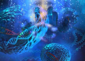 QBI researchers have discovered a DNA modification that enhances our ability to extinguish fear