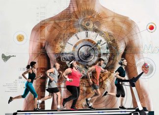 Exercise can shift the human body clock