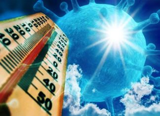 Heat waves can reduce the body’s immune response to flu