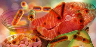 High-fat diets decrease good gut bacteria