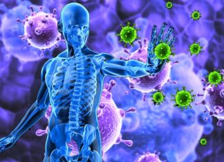 How the immune system fights viruses