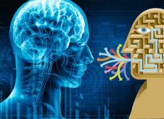 Language determines how humans store and retrieve memories