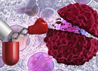 New type of cancer drug that acts as a Trojan horse