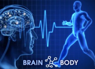 Obesity is first and foremost a brain disease