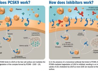 Clinicians should consider using PCSK9 inhibitors to lower cholesterol in patients with statin-associated autoimmune myopathy